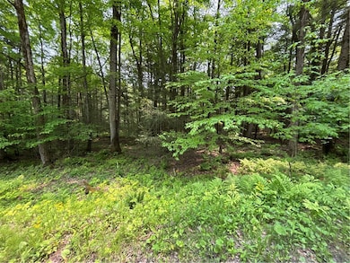 0 Spring Rd S, Ossian, NY 14437 - photo 5