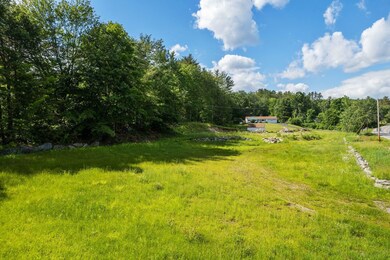 25 Daniel Webster Hwy unit Lot 025 Map 227, Center Harbor, NH 03226 - photo 4