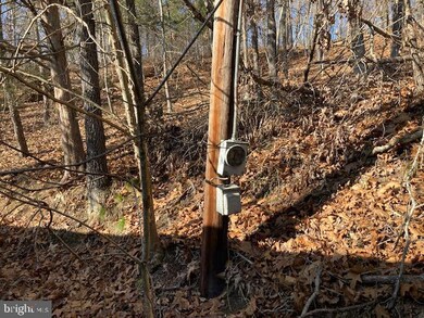 518 Tinderbox Ln, Winchester, VA 22603 - photo 5