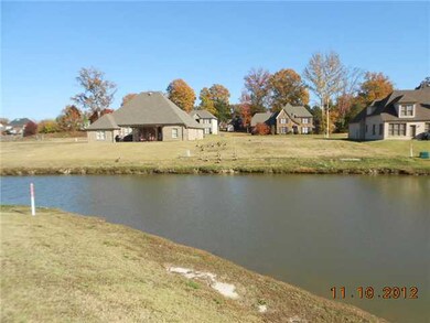 From back yard
