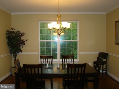 423 Ethan Allen Ave, Takoma Park, MD 20912 - photo 7