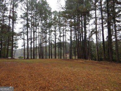 LOT 10 Sugar Creek Trail unit LOT 10, Buckhead, GA 30625 - photo 3