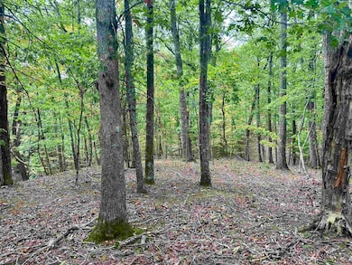 1030 Treetop Ridge Rd, Blacksburg, VA 24060 - photo 4