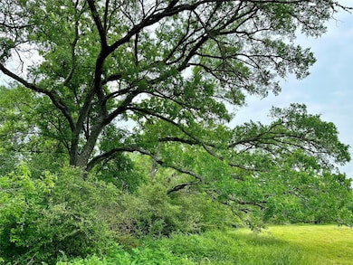 00 Quarry Rd, Brenham, TX 77833 - photo 2