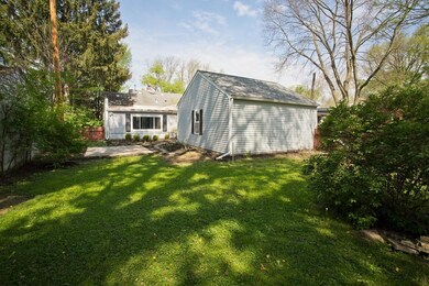 Backyard-1