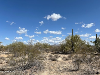 5120 W Lambert Ln, Oro Valley, AZ 85742 - photo 3