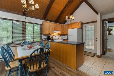 177 Pinnacle Dr, Wintergreen Resort, VA 22967 - photo 5