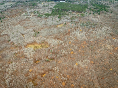 ON Sheep Ranch Rd, Rhinelander, WI 54501 - photo 3