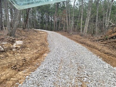 Tract 5 Thomas Springs Rd, Crossville, TN 38572 - photo 3