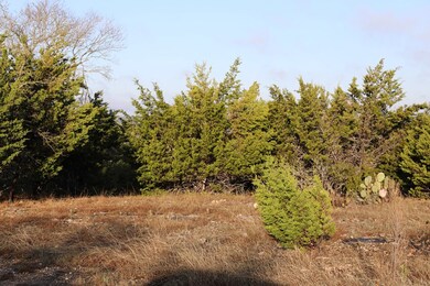 0 Signal Point unit 51 81765, Fredericksburg, TX 78624 - photo 7