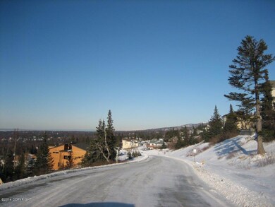 Albert's Prominence Pointe lot pictures