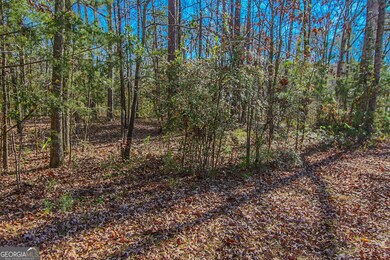 0 Haley Rd unit 10651240, Jackson, GA 30233 - photo 5