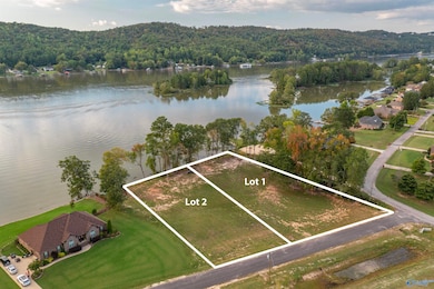 2790 Lake Forest Ct, Southside, AL 35907 - photo 2