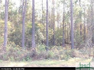 4273 Courthouse Rd, Guyton, GA 31312 - photo 2