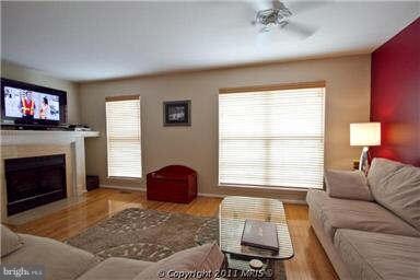 13410 Burrough Farm Dr, Herndon, VA 20171 - photo 3