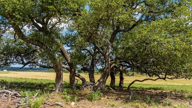 Lot 19 Overhill Dr unit 19, Fredericksburg, TX 78624 - photo 7