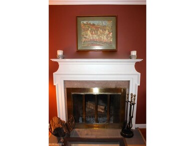 Wood burning fireplace with ornamental trim and ma