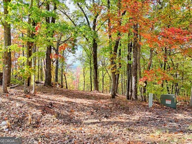 LOT 28 Long Mountain Rd, Cleveland, GA 30528 - photo 7