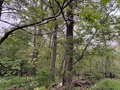 1229 Pheasant Run Rd, Kansas, OK 74347 - photo 3