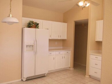 Plenty of Kitchen Cabinets & Pantry!
