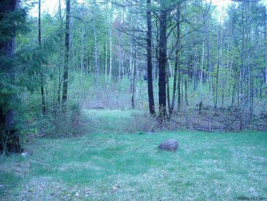 2943 State Route 28, North Creek, NY 12853 - photo 3