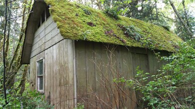 1 Zion View Ln, Quilcene, WA 98376 - photo 6