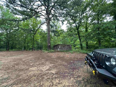 59 Bryant Rd, Greers Ferry, AR 72067 - photo 4