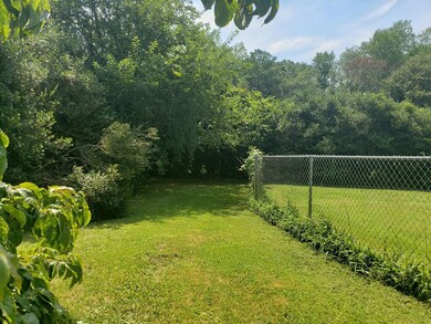 back yard