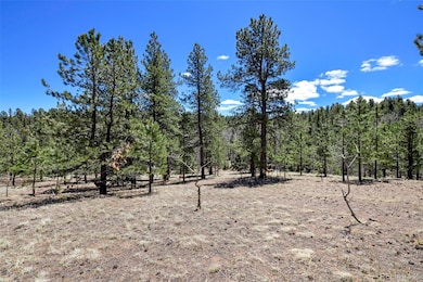 112 Blue Jay Ln, Florissant, CO 80816 - photo 3