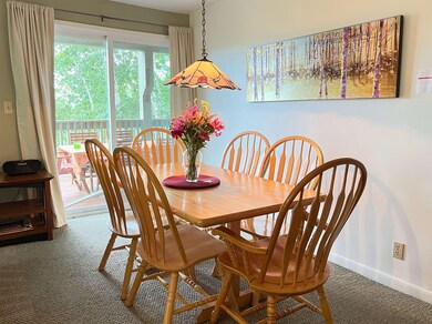 171 Cottage Club Rd unit 101, Stowe, VT 05672 - photo 7