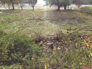 front yard with plenty of room for granny unit