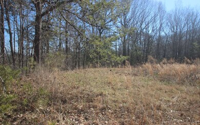 0 Log Round Mountain Rd unit 304623, Ellijay, GA 30540 - photo 2