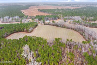 3-web-or-mls-DJI_0620