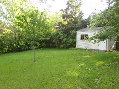 backyard 2