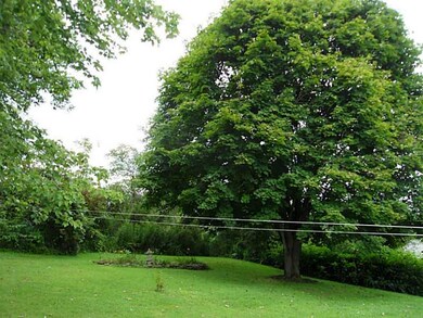 Yard/Garden.