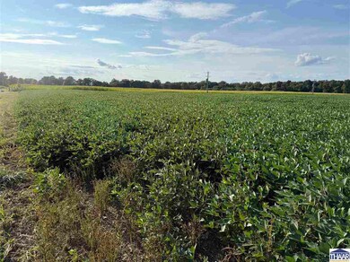 16100 +/- S All, Pimento, IN 47866 - photo 4