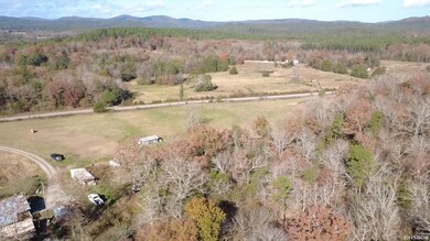 1525 Whitetown Rd, Oden, AR 71961 - photo 6