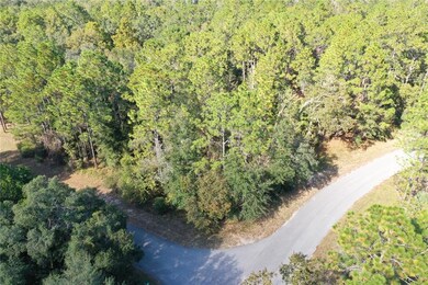TBD SW 211 Cir, Dunnellon, FL 34431 - photo 2