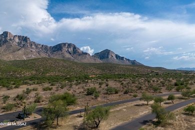 3562 E Violet Ridge Rd, Tucson, AZ 85739 - photo 7