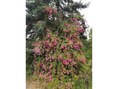 14785 S Howards Mill Rd, Mulino, OR 97042 - photo 7