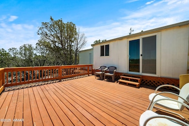 8596FoxCir-ShowLow-AZ-18