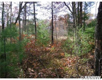 0 Fish Lake Rd unit 895470, Siren Township, WI 54872 - photo 3