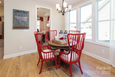 4225 Honey Locust Dr, Mint Hill, NC 28227 - photo 5