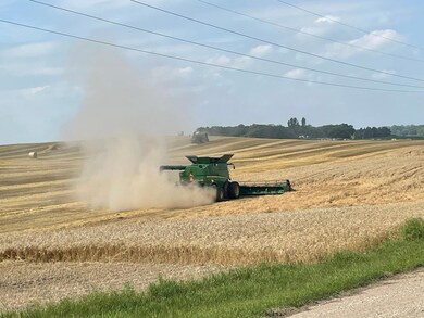 TBD 400th St, Erhards Grove Township, MN 56572 - photo 5