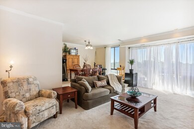 Americana Finnmark unit 706, Silver Spring, MD 20902 - photo 5