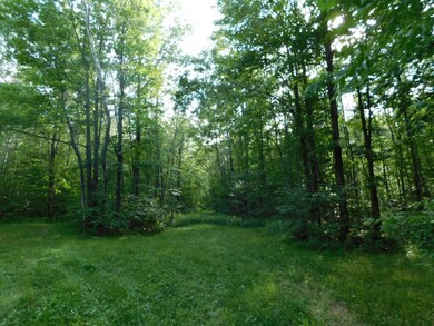 W10285 Hwy 86, Tomahawk, WI 54487 - photo 4