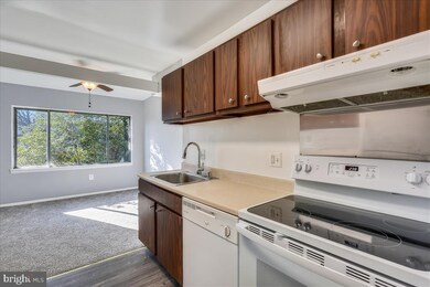 404 Girard St unit 303, Gaithersburg, MD 20877 - photo 4