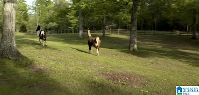 268 S Oak Dr, Birmingham, AL 35242 - photo 6