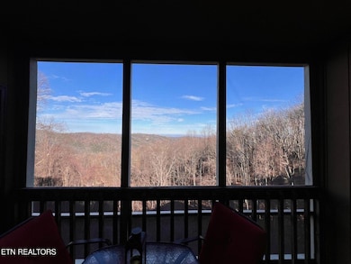 1102 Ski View Dr unit 206, Gatlinburg, TN 37738 - photo 3
