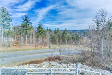 1 Quaboag Heights Dr unit 1, Monson, MA 01057 - photo 2
